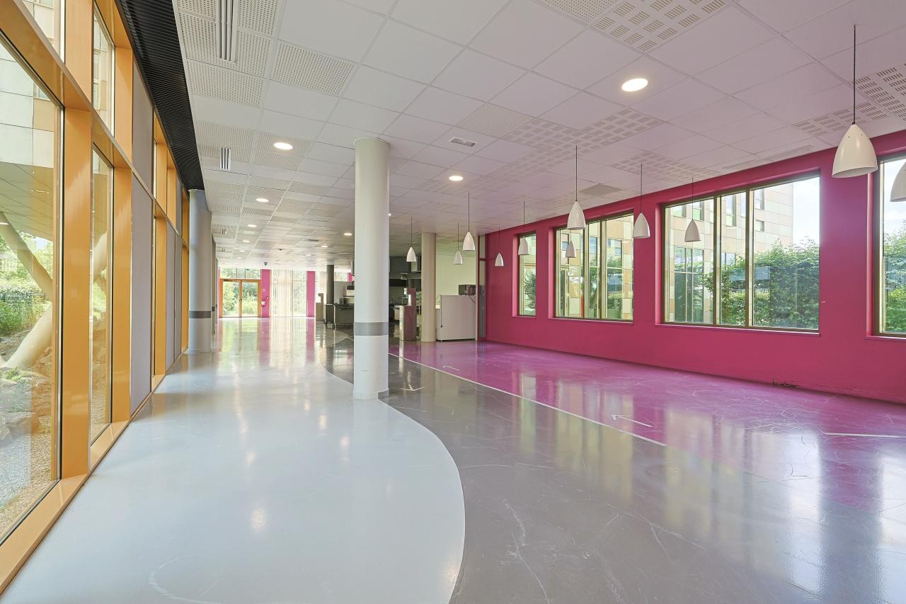 Bureau Loos 10434m² Location bureau Loos Nord OLBUR2311780 7
